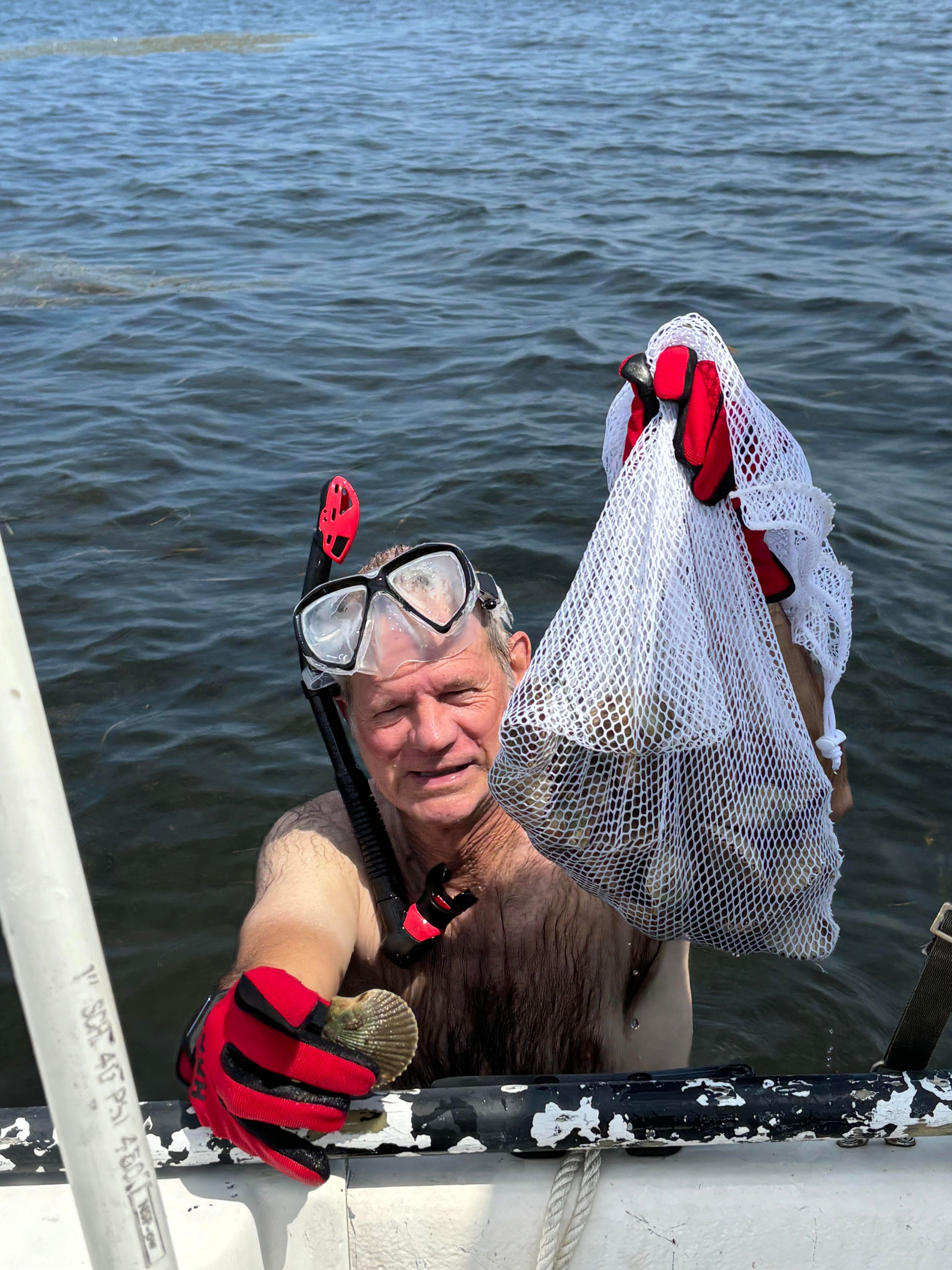 Steinhatchee Scalloping still hot