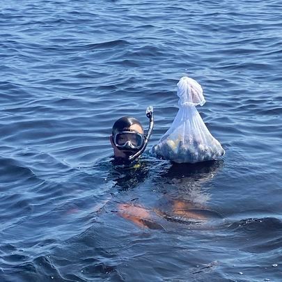 Steinhatchee Scalloping | Half Day Scalloping Trips In Florida